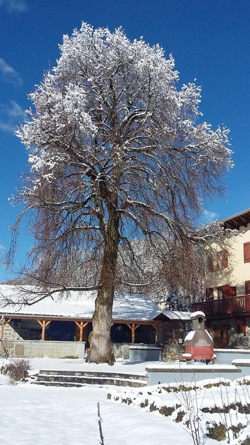 L'Escale En Ubaye Saint-Pons (Alpes-de-Haute-Provence) Exterior foto